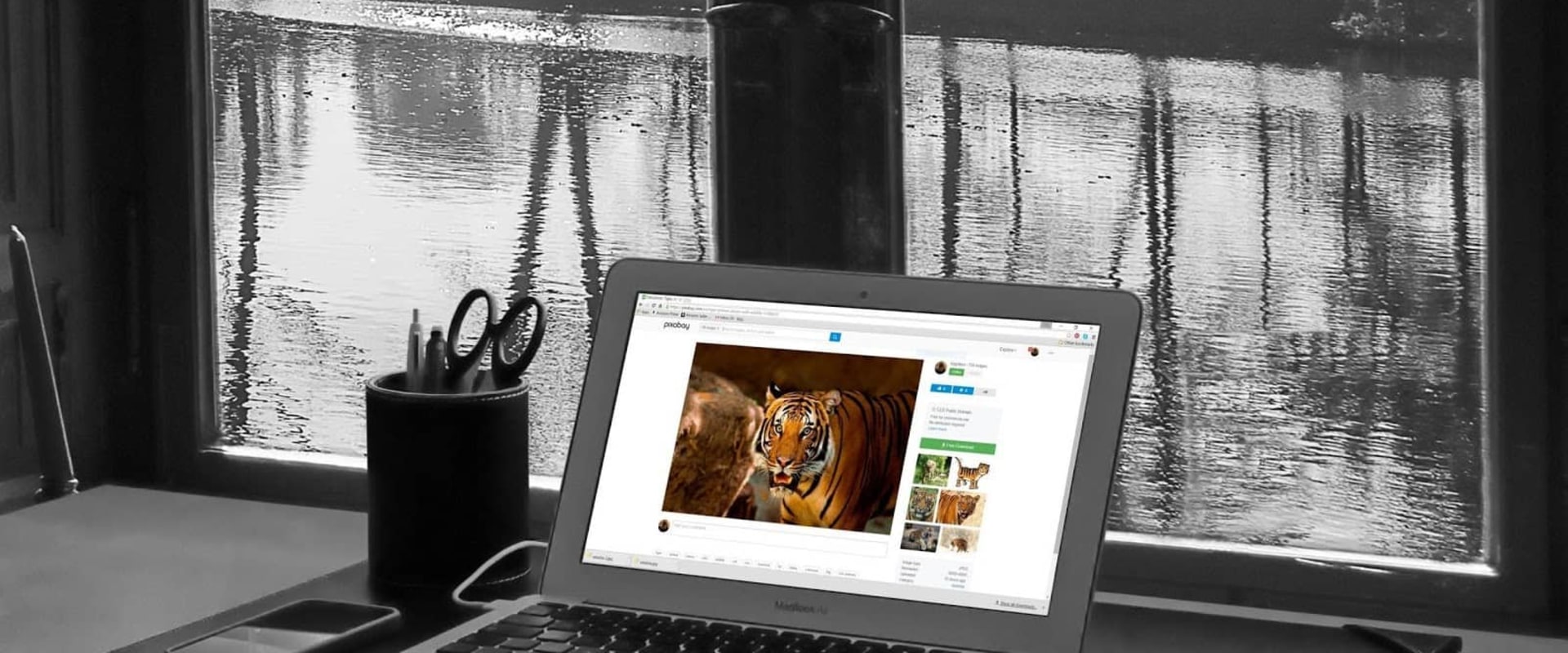 How a Web Design Company Can Boost Your Online Presence